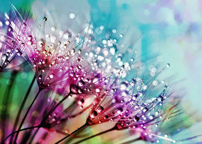 Yoga, Reiki and Sound Healing evening at Yoga Sangha